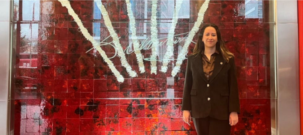 CHP Ankara İl Kadın Kolları Başkanı Ayça Çağlar: “Adaletin ve Demokrasinin Yanındayız” - GÜNDEM - İnternetin Ajansı